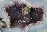 Las Choyas Coconut Geode Half with Amethyst & Agate - Mexico #145862-1